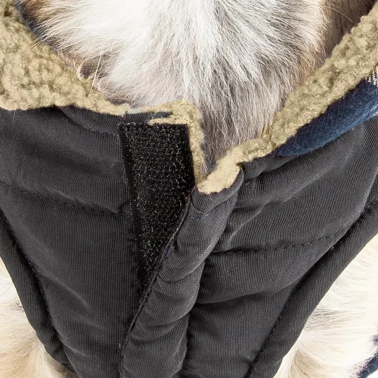 Pet Life ®  'Allegiance' Classical Insulated Plaid Fashion Dog Jacket