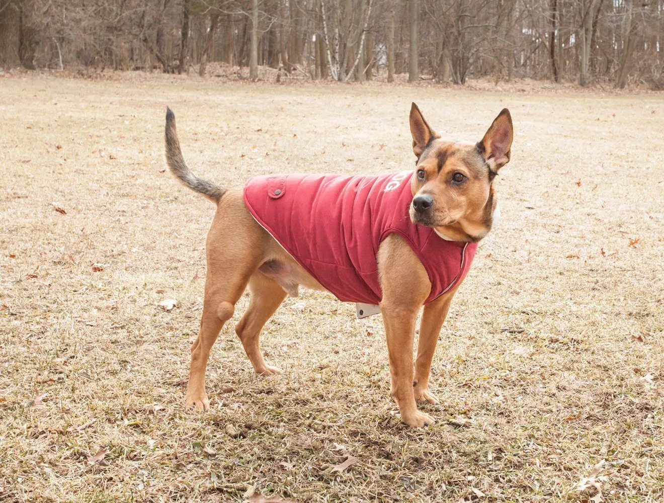 Touchdog ® Waggin Swag Ultra-Plush Insulated and Reversible Dog Coat